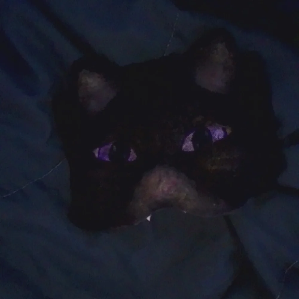Black and Purple Cat Mask with Mystical Eyes